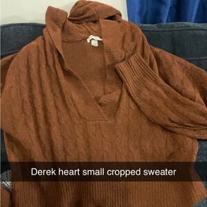 Derek Heart Brown V-Neck Sweater